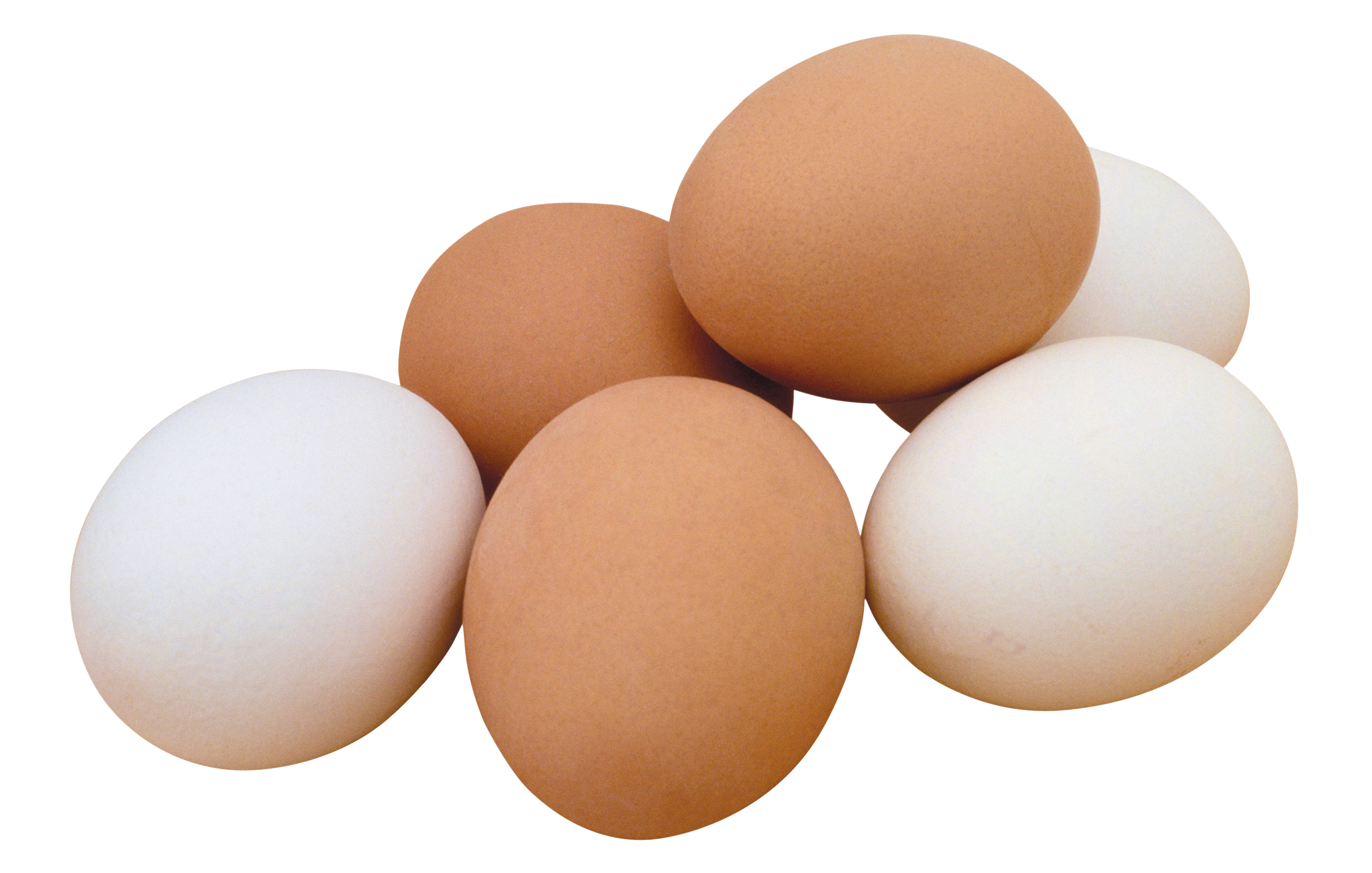 egg_PNG25