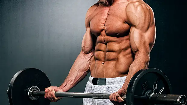 Imodstyle Build Muscle Fast